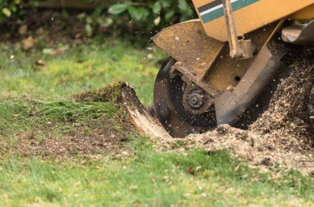 affordable stump grinding