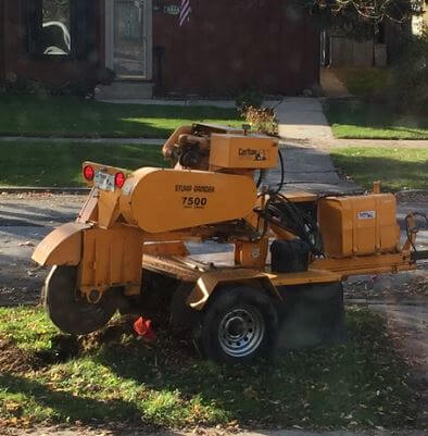 stump grinding spring hill