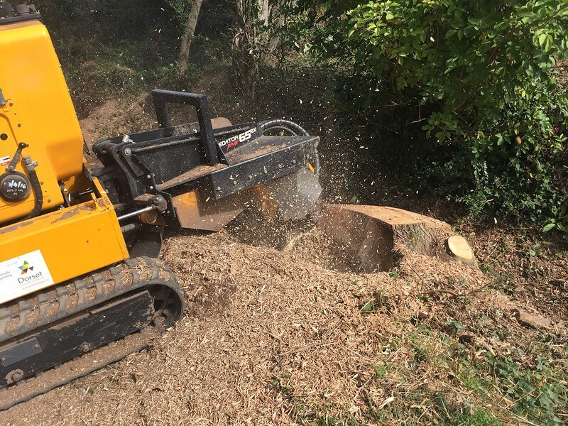 stump grinding cost