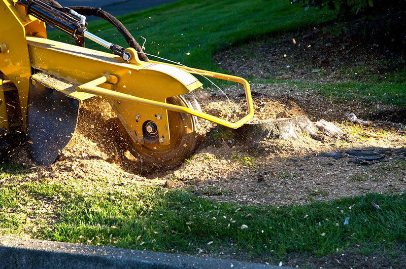 stump grinding spring hill