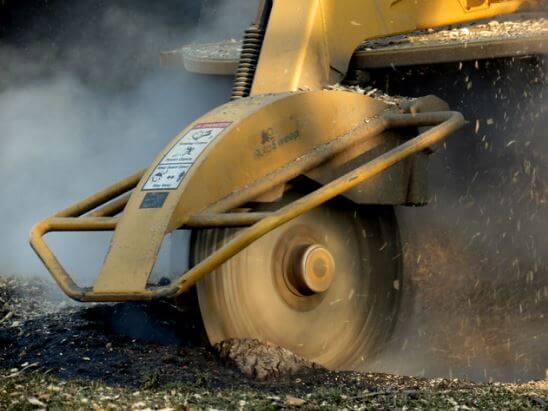 stump grinder rental 