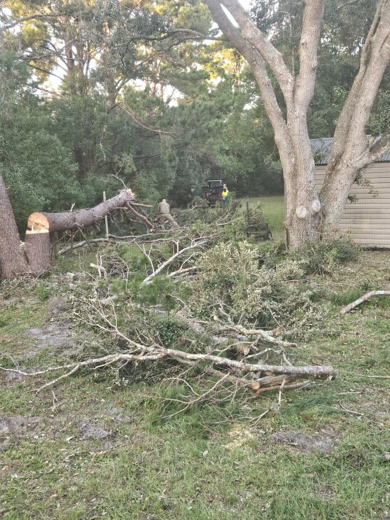 storm-damage-tree-removal-hernando-county